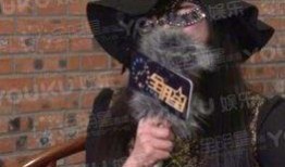 全明星探刘小光爆料视频,娱乐圈背后惊人内幕